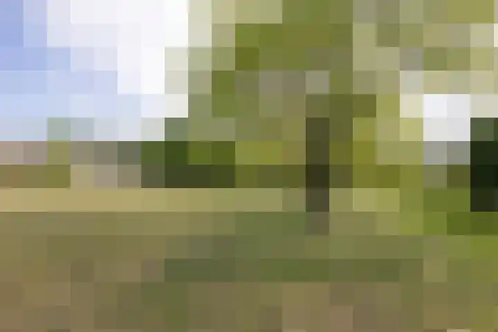 Aardjesberg 9 Hilversum thumbnail 28