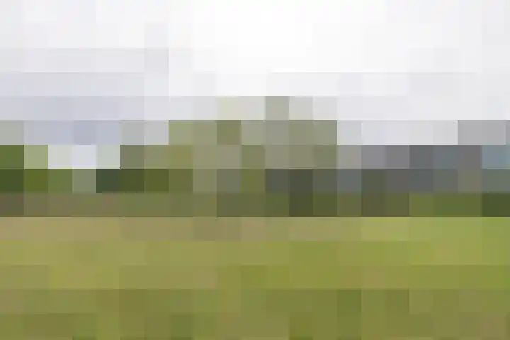 Aardjesberg 9 Hilversum thumbnail 29