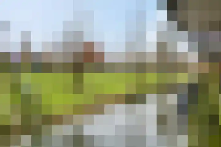 Aardmansberg 3 Amersfoort thumbnail 11