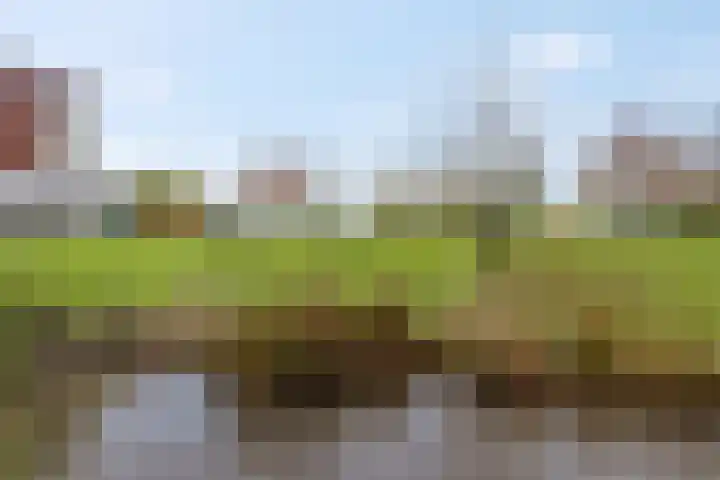 Aardmansberg 3 Amersfoort thumbnail 12