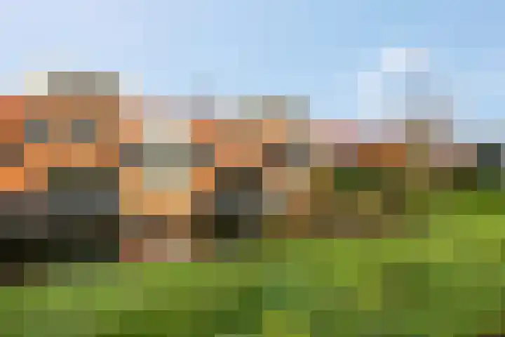 Aardmansberg 3 Amersfoort thumbnail 13