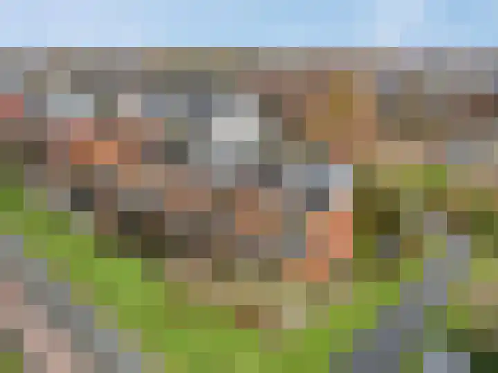 Aardmansberg 3 Amersfoort thumbnail 35