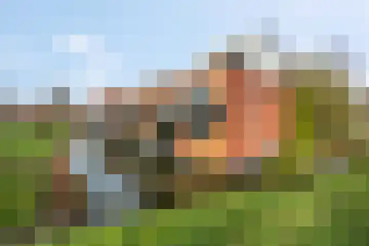 Aardmansberg 3 Amersfoort thumbnail 36