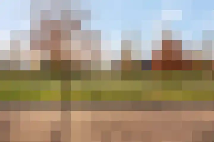Aardmansberg 3 Amersfoort thumbnail 40