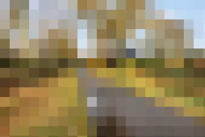 Aardmansberg 3 Amersfoort thumbnail 41