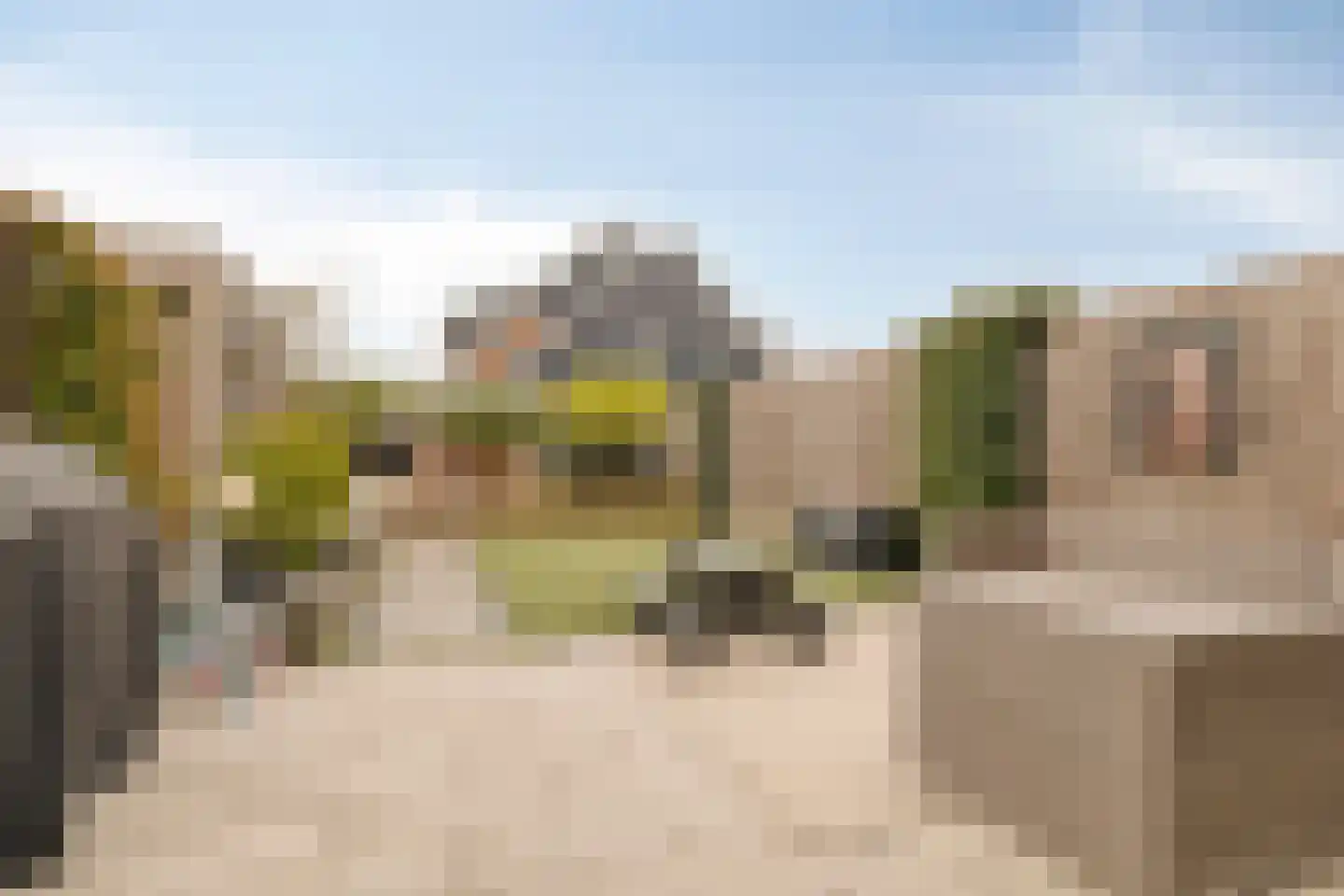 Aardpeer 9 Roelofarendsveen thumbnail 19