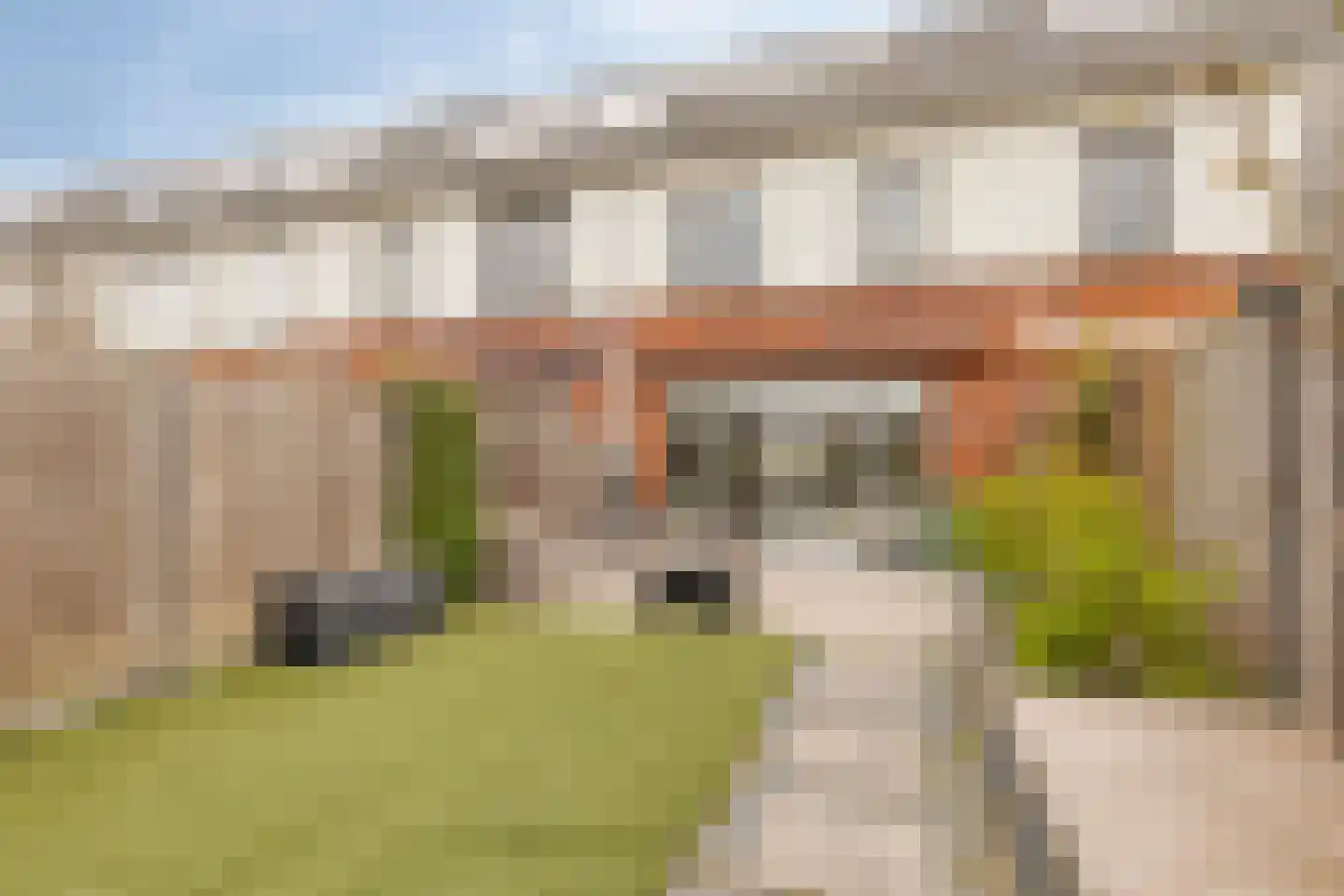 Aardpeer 9 Roelofarendsveen thumbnail 20