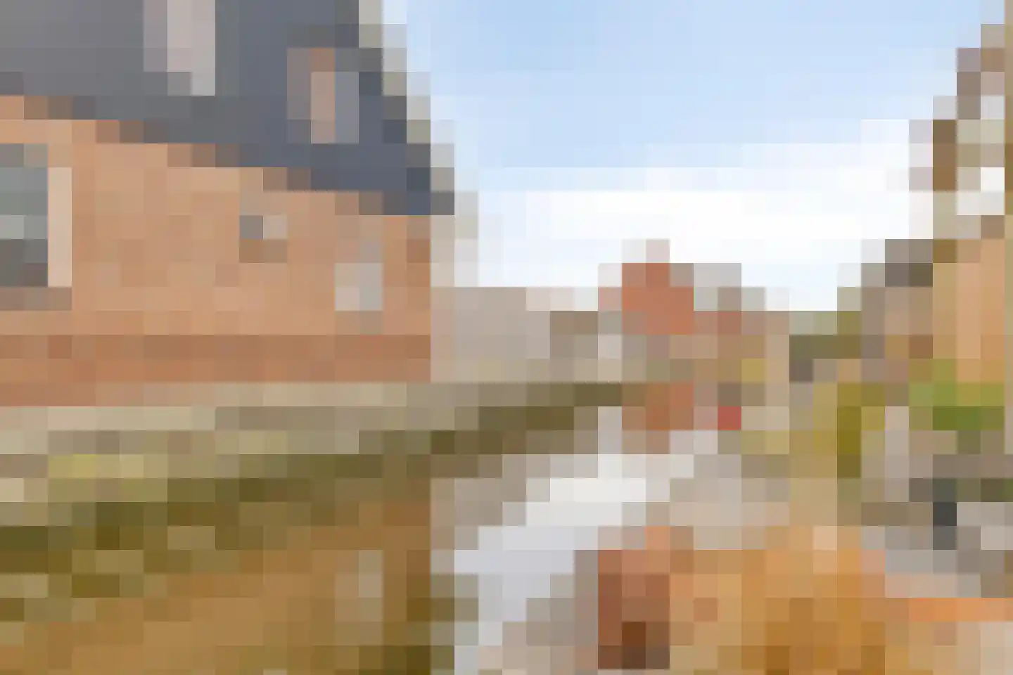 Aardpeer 9 Roelofarendsveen thumbnail 21