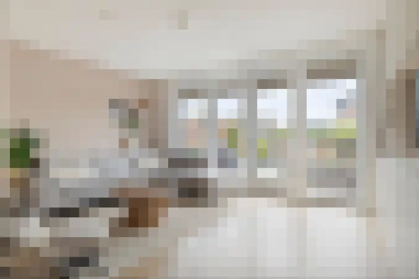 Aardpeer 9 Roelofarendsveen thumbnail 5