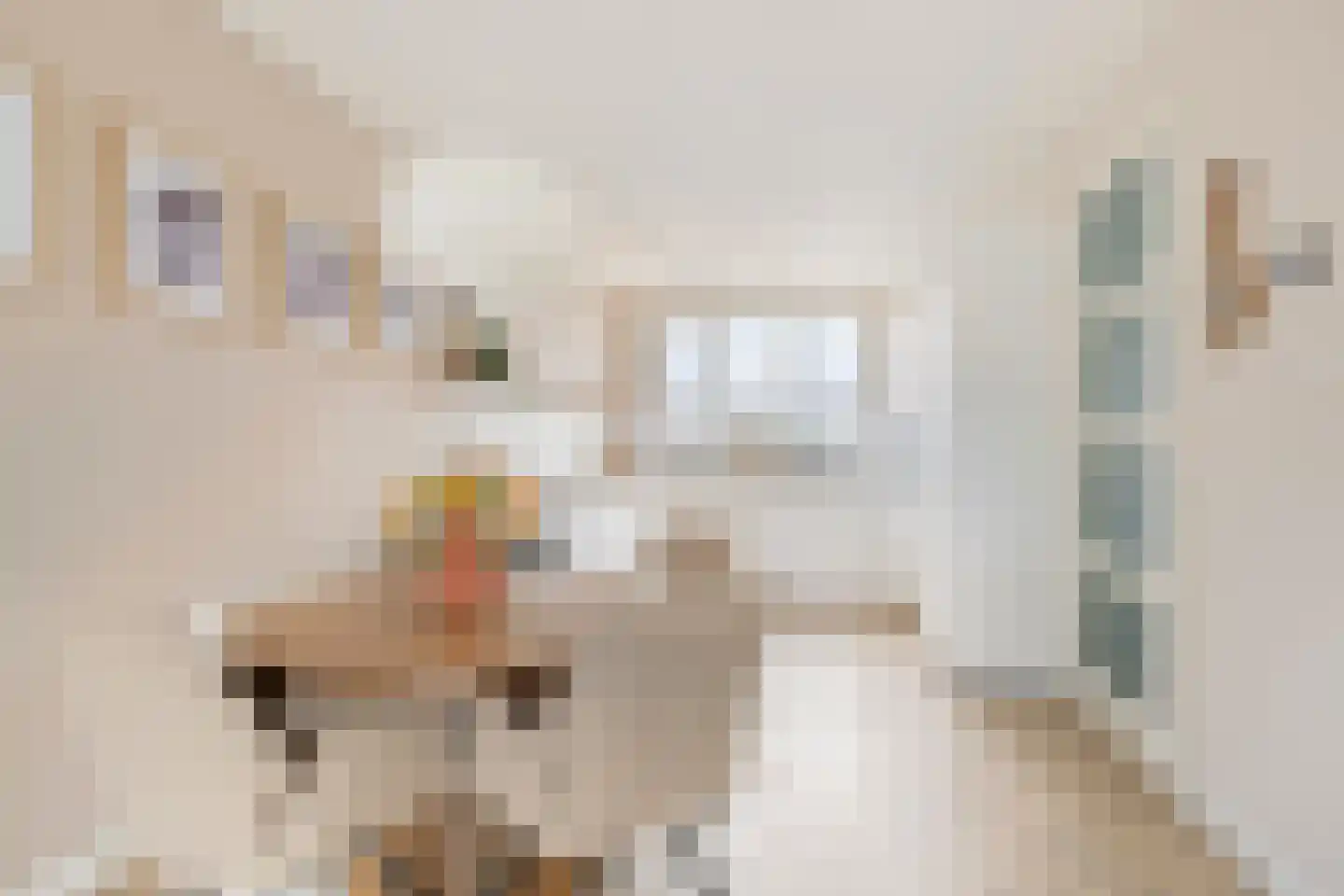 Aardpeer 9 Roelofarendsveen thumbnail 8