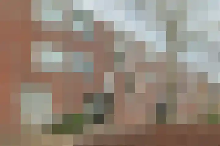 Aardster 14 in Alphen aan den Rijn