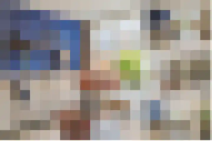 Aardster 14 Alphen aan den Rijn thumbnail 10