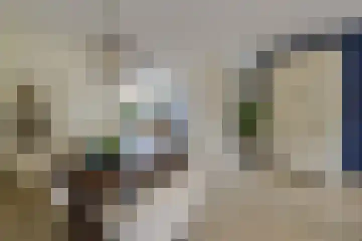 Aardster 14 Alphen aan den Rijn thumbnail 11