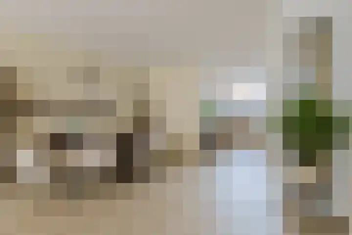 Aardster 14 Alphen aan den Rijn thumbnail 12