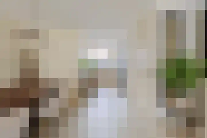 Aardster 14 Alphen aan den Rijn thumbnail 13