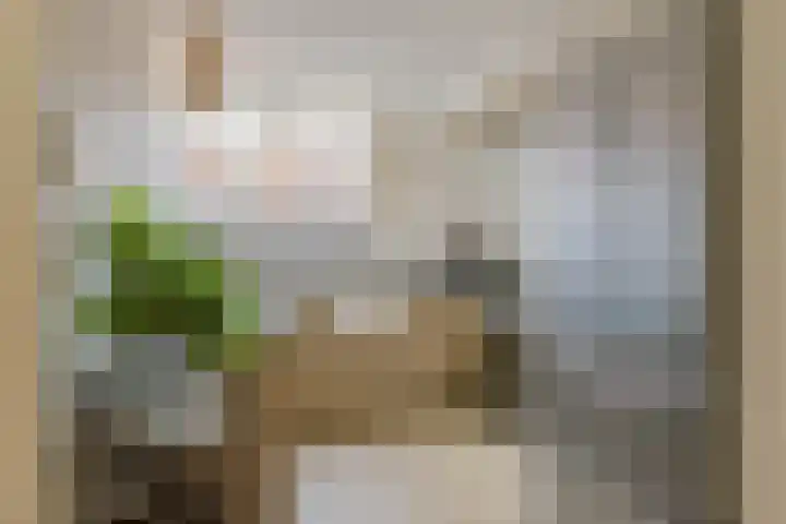 Aardster 14 Alphen aan den Rijn thumbnail 15