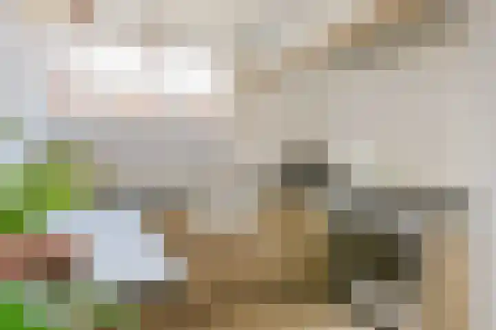 Aardster 14 Alphen aan den Rijn thumbnail 16