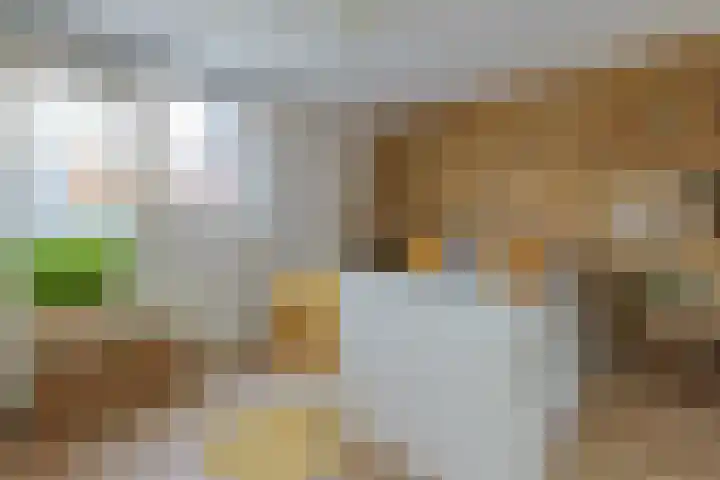 Aardster 14 Alphen aan den Rijn thumbnail 18