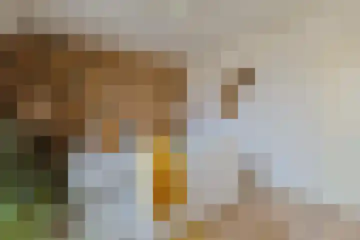 Aardster 14 Alphen aan den Rijn thumbnail 19