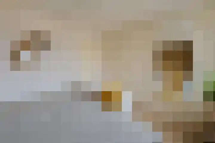 Aardster 14 Alphen aan den Rijn thumbnail 20