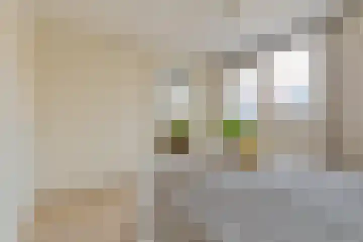 Aardster 14 Alphen aan den Rijn thumbnail 21