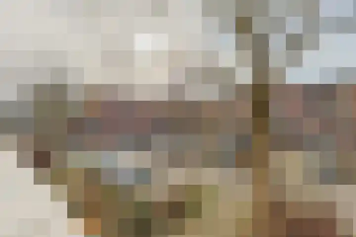 Aardster 14 Alphen aan den Rijn thumbnail 27