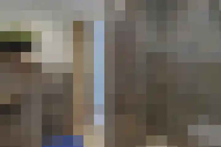 Aardster 14 Alphen aan den Rijn thumbnail 32