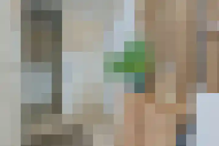 Aardster 14 Alphen aan den Rijn thumbnail 4