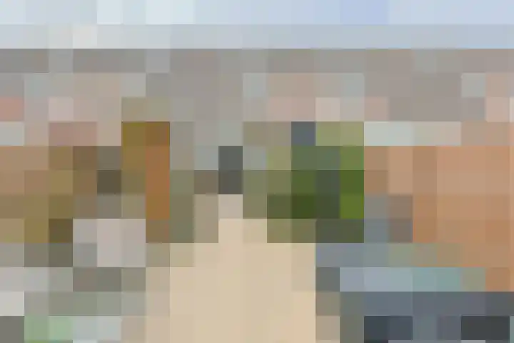 Aardster 14 Alphen aan den Rijn thumbnail 42