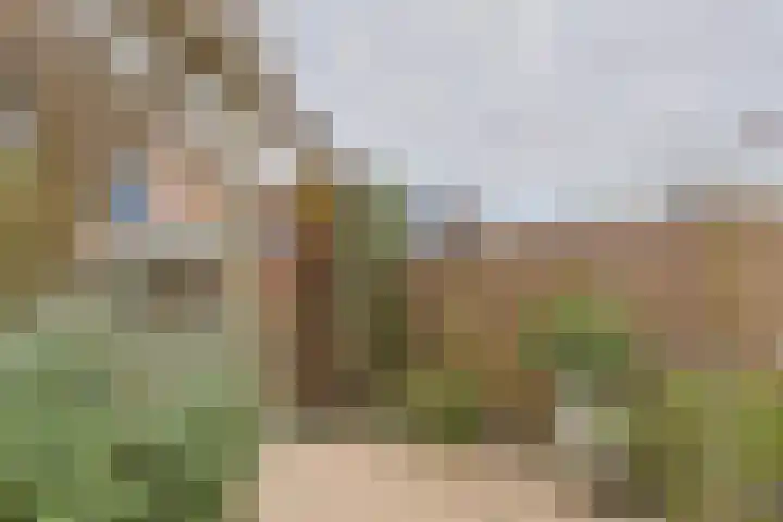 Aardster 14 Alphen aan den Rijn thumbnail 46