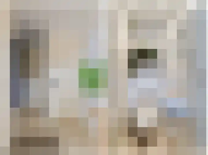 Aardster 14 Alphen aan den Rijn thumbnail 5