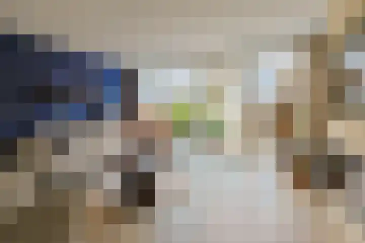 Aardster 14 Alphen aan den Rijn thumbnail 6
