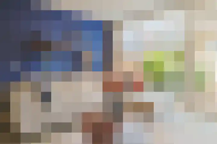 Aardster 14 Alphen aan den Rijn thumbnail 7
