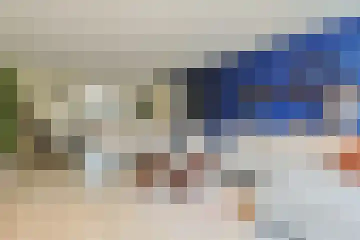 Aardster 14 Alphen aan den Rijn thumbnail 8