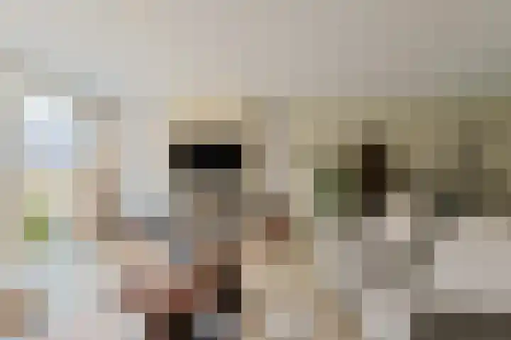 Aardster 14 Alphen aan den Rijn thumbnail 9
