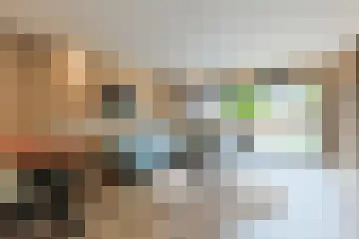 Aardster 215 Alphen aan den Rijn thumbnail 10