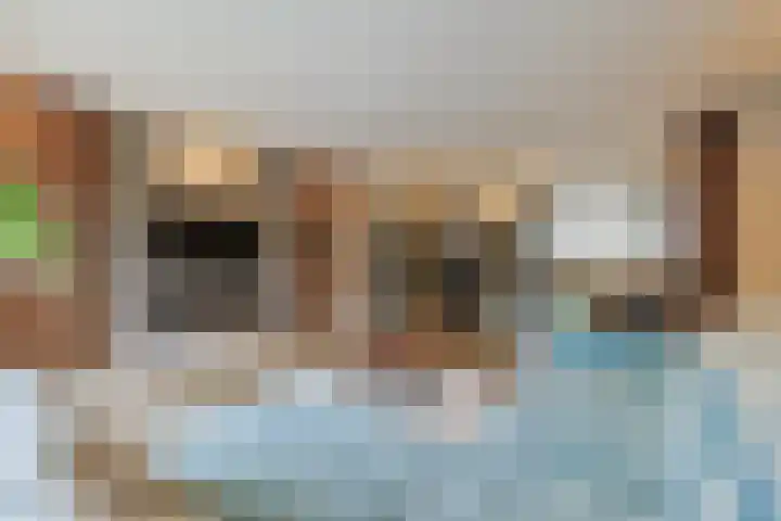Aardster 215 Alphen aan den Rijn thumbnail 12