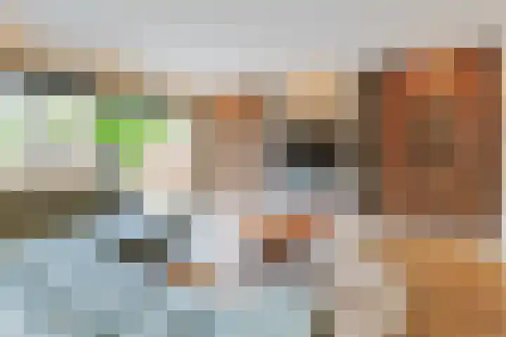 Aardster 215 Alphen aan den Rijn thumbnail 13