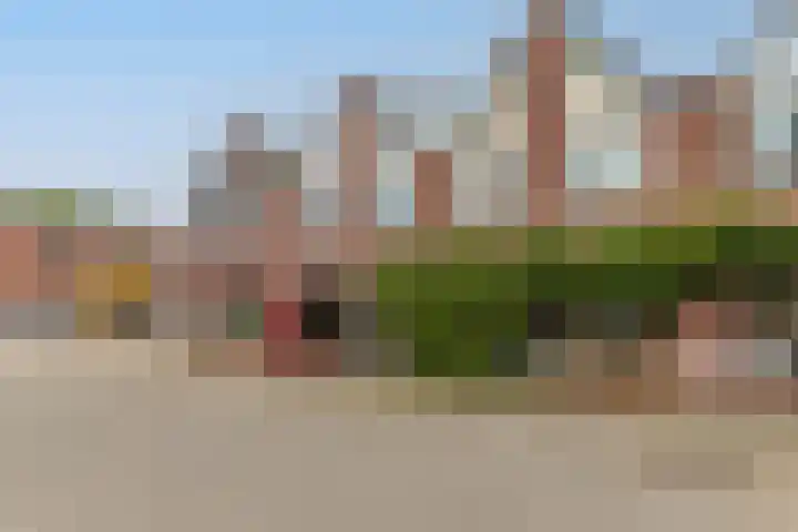 Aardster 215 Alphen aan den Rijn foto 2