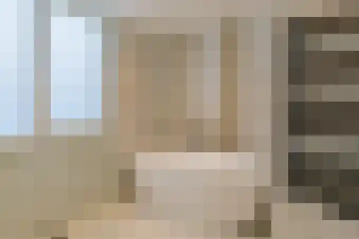Aardster 215 Alphen aan den Rijn thumbnail 30