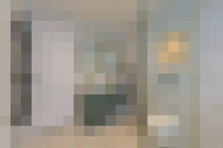 Aardster 215 Alphen aan den Rijn thumbnail 31