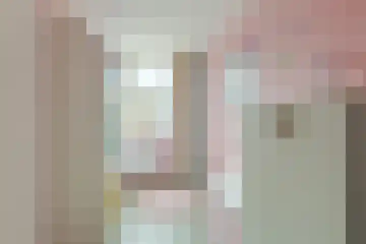 Aardster 215 Alphen aan den Rijn thumbnail 33