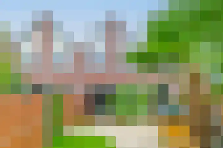 Aardster 215 Alphen aan den Rijn thumbnail 42