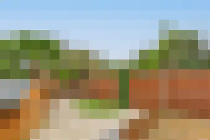 Aardster 215 Alphen aan den Rijn thumbnail 44