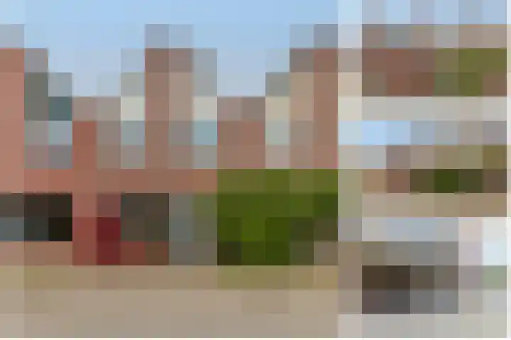 Aardster 215 Alphen aan den Rijn thumbnail 5