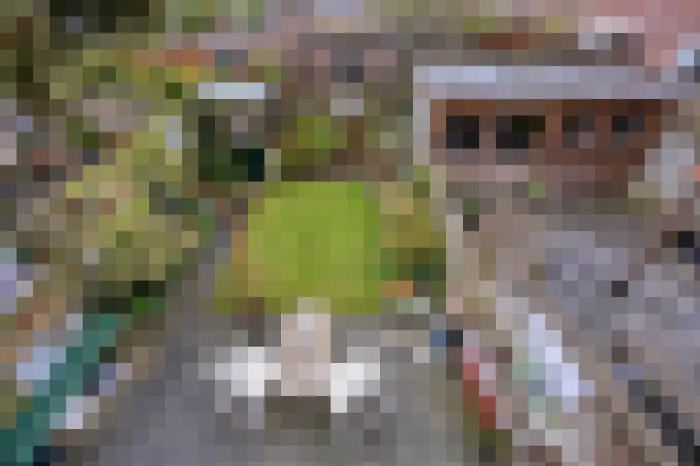 Aardster 235 Alphen aan den Rijn thumbnail 27
