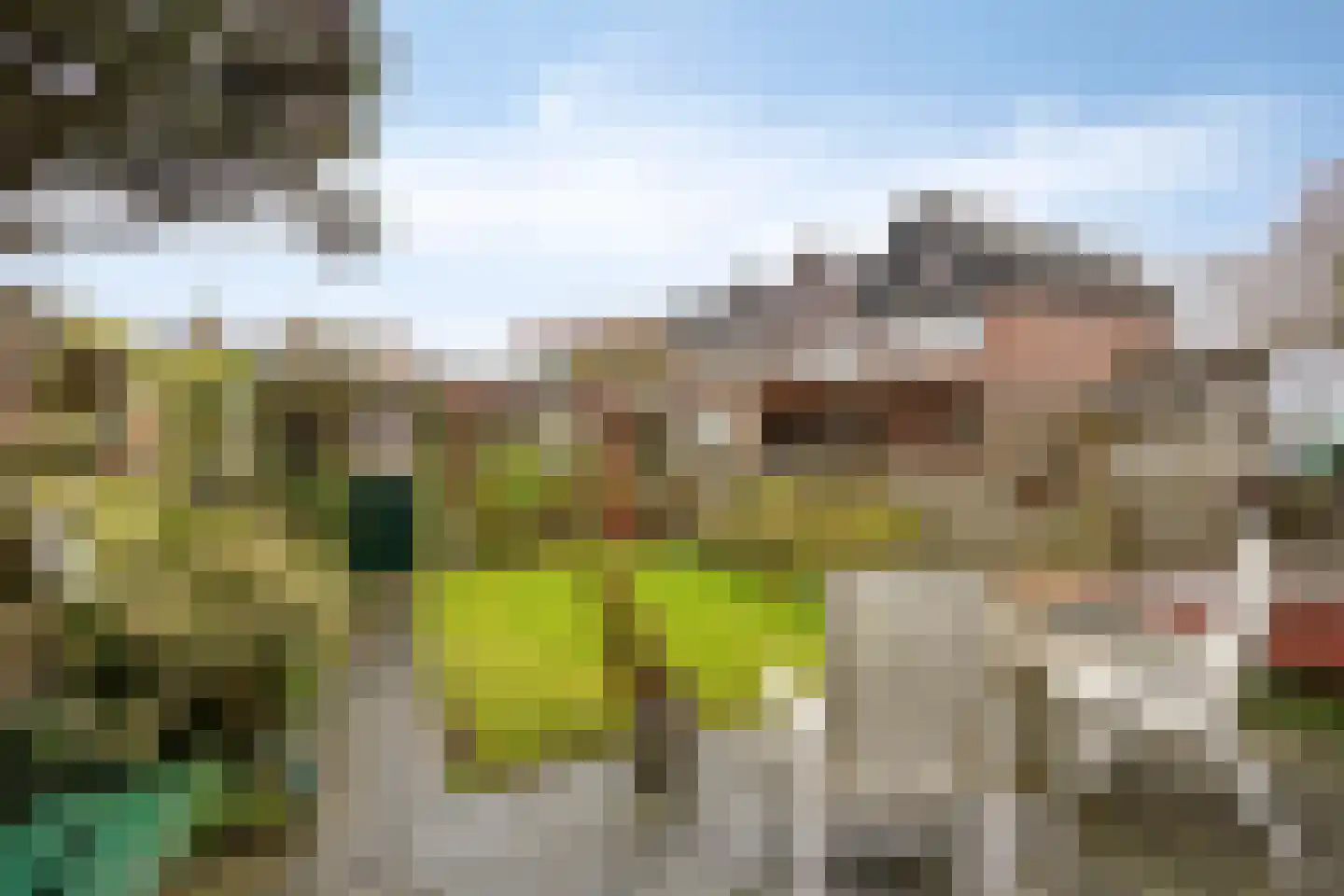Aardster 235 Alphen aan den Rijn thumbnail 28