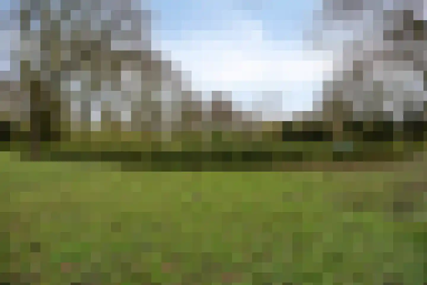 Aardster 235 Alphen aan den Rijn thumbnail 33
