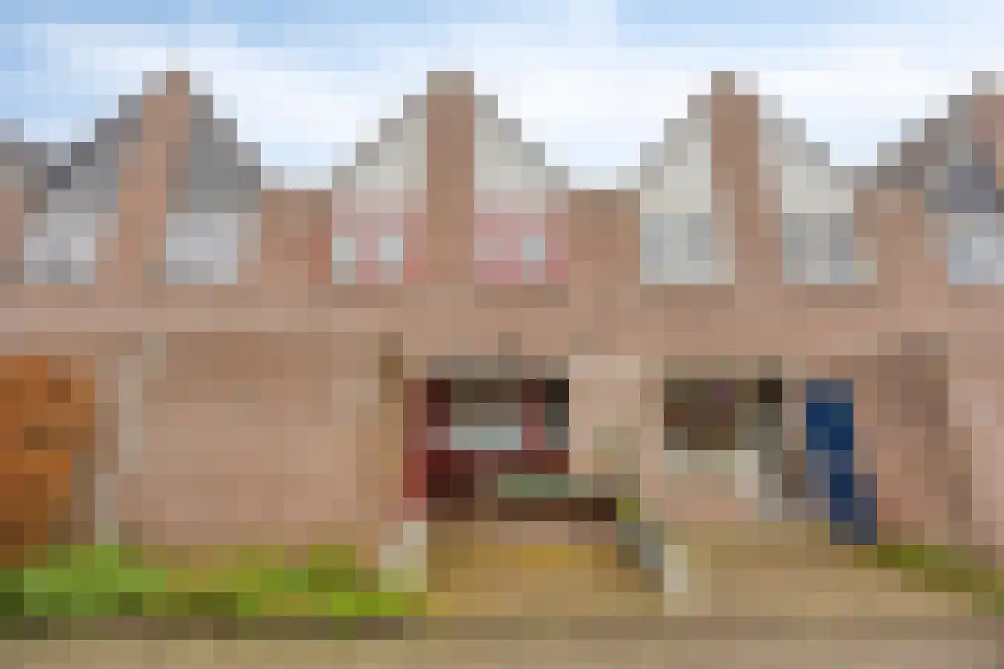 Aardster 235 Alphen aan den Rijn thumbnail 36