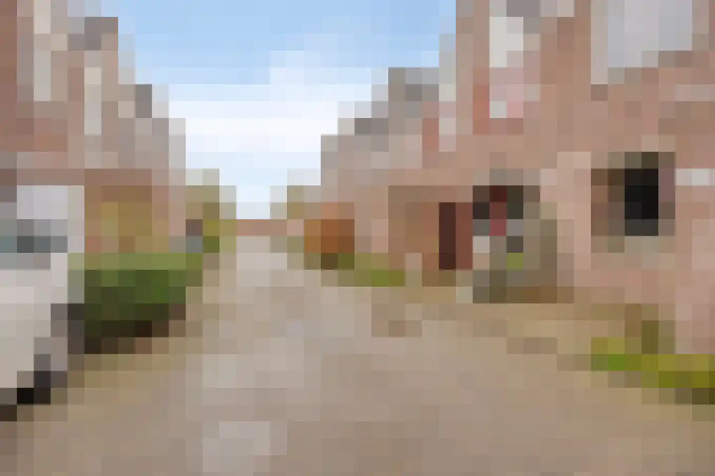 Aardster 235 Alphen aan den Rijn thumbnail 37